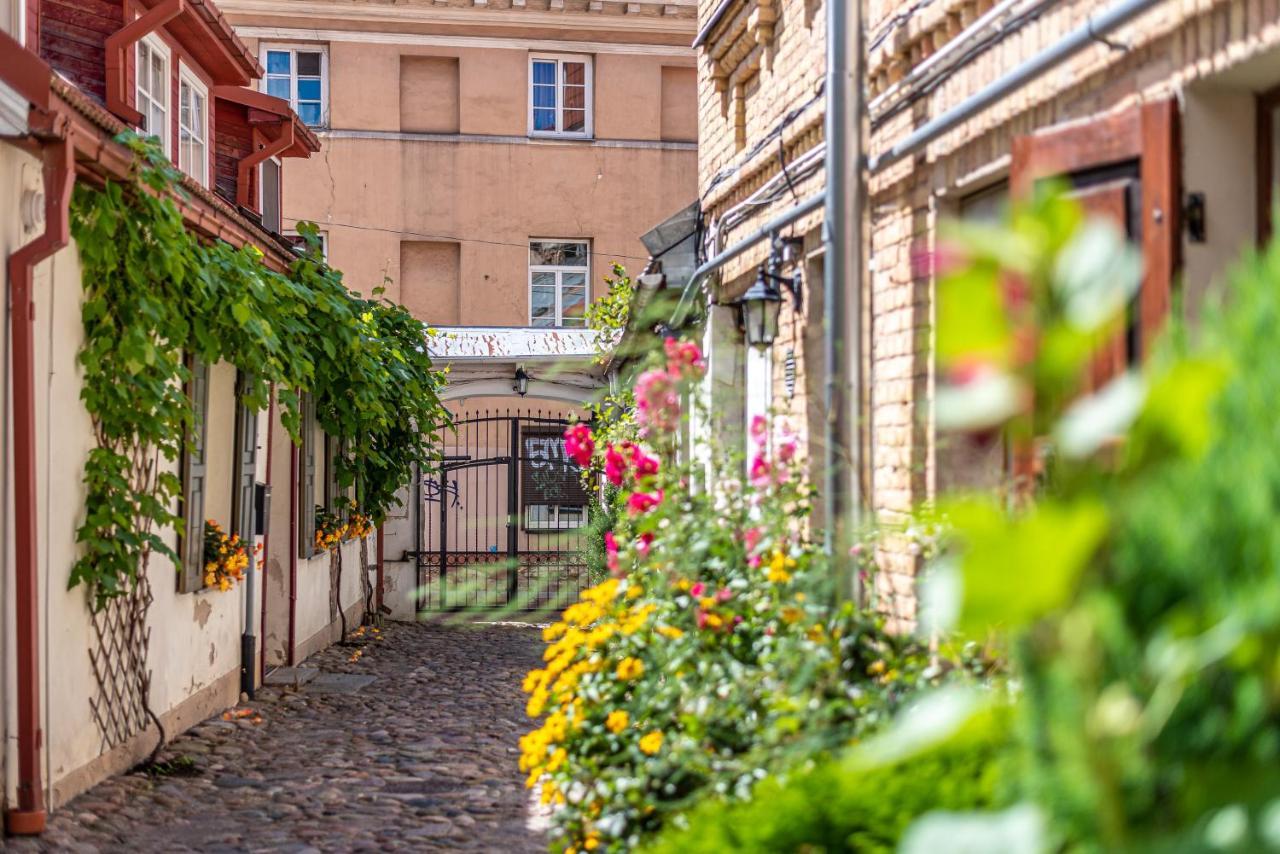 Sun Lighted Cathedral Square Studio Apartamento Vilnius Exterior foto