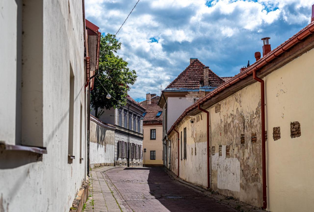Sun Lighted Cathedral Square Studio Apartamento Vilnius Exterior foto