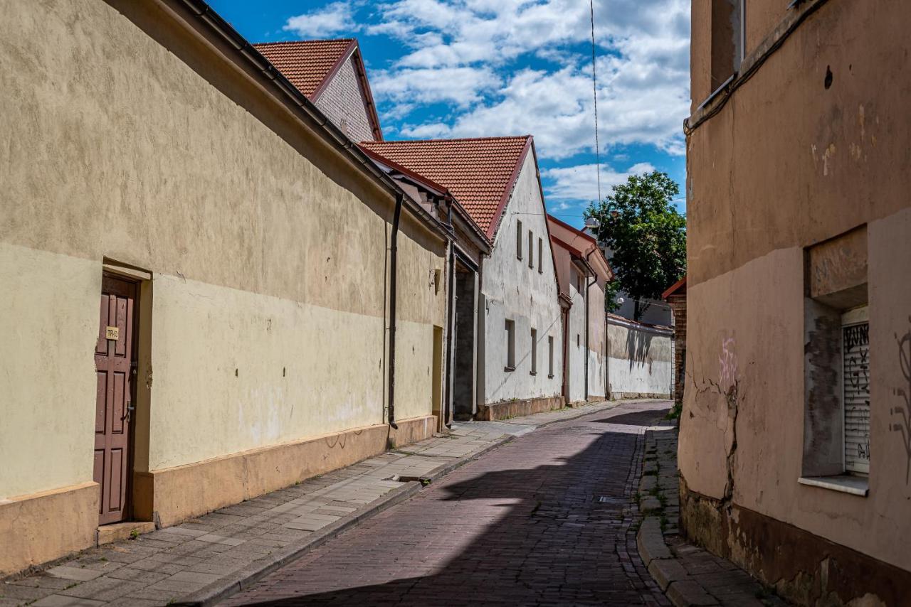 Sun Lighted Cathedral Square Studio Apartamento Vilnius Exterior foto